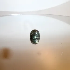 3.29 CAB DARK BLUE GREEN MT SAPPHIRE
