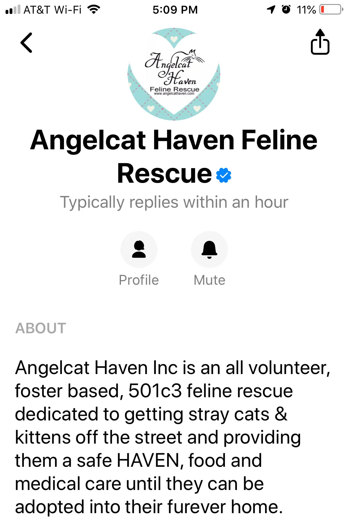 Cat Donation Bracelet/ Partial Proceeds go to Cat Shelters