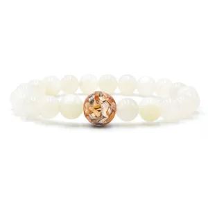 Florida Shells   Moonstone