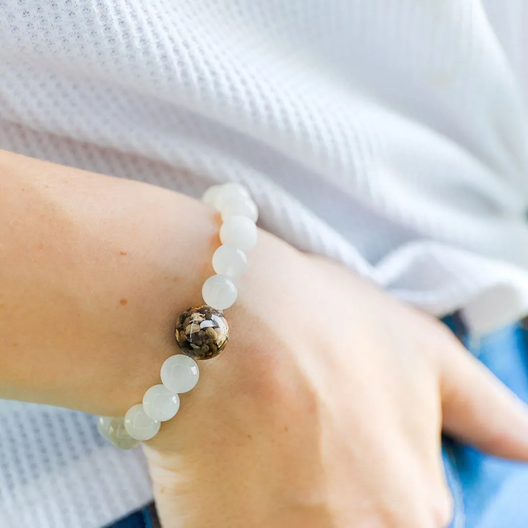 Florida Shells   Moonstone