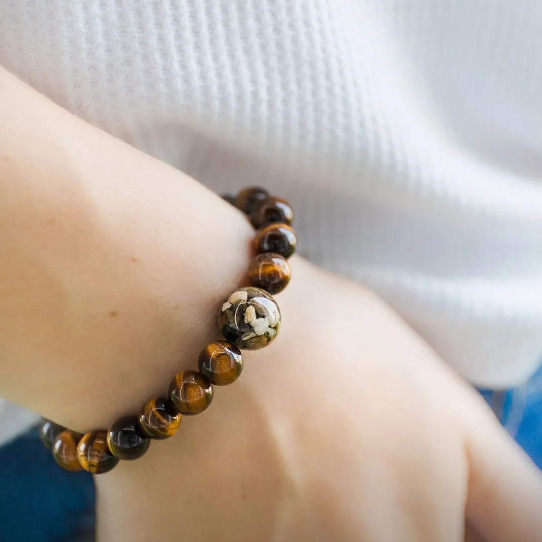 Florida Shells   Tiger's Eye