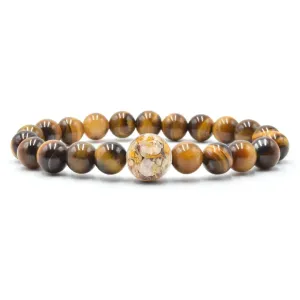 Florida Shells   Tiger's Eye