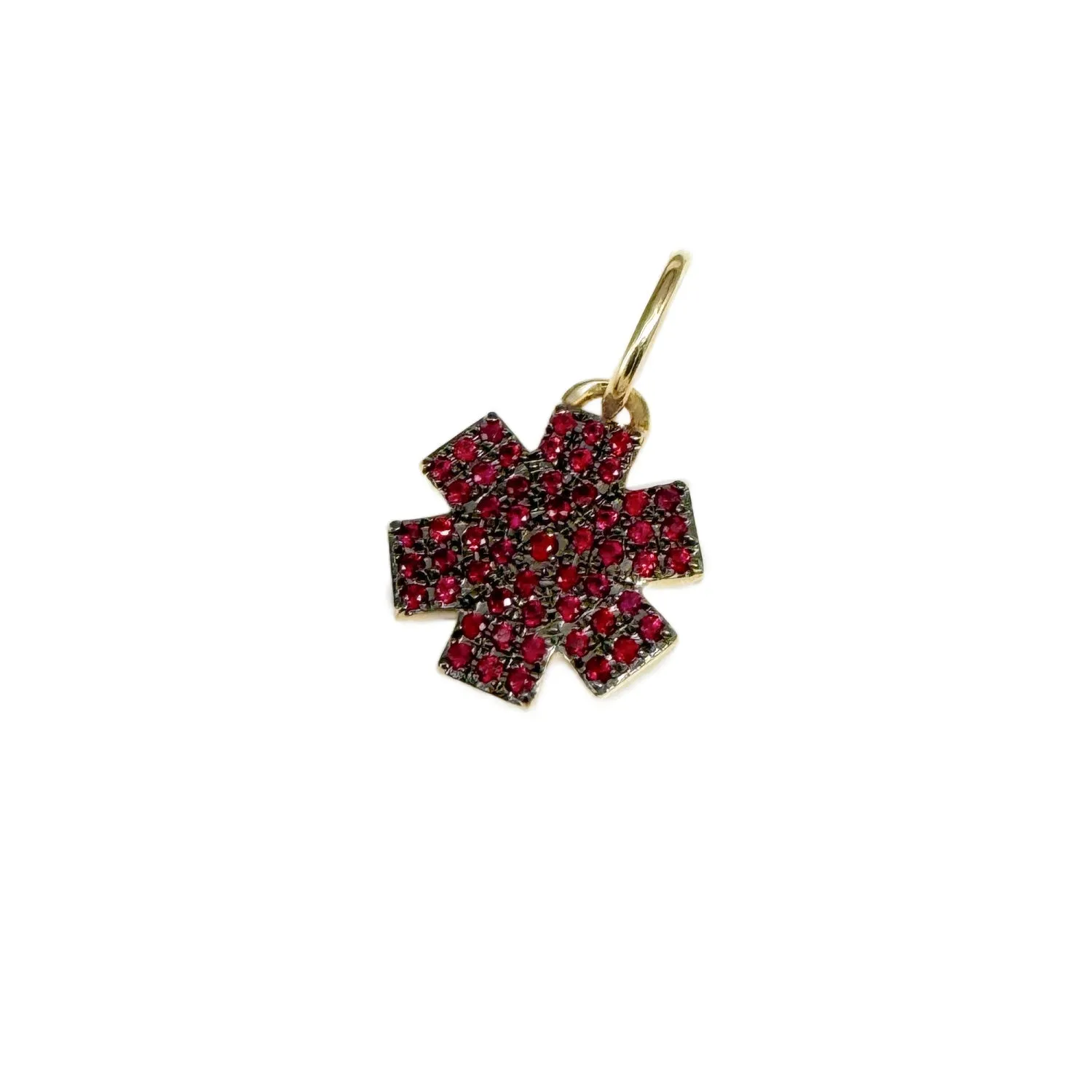 Gold & Ruby Small Star of Life Medical Charm