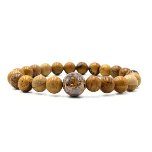 Kansas Stones   Picture Jasper