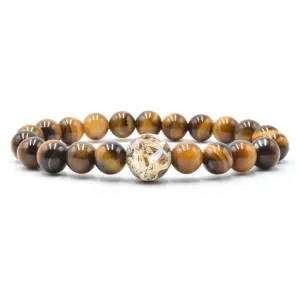 Lake Erie Stones & Shells   Tiger's Eye