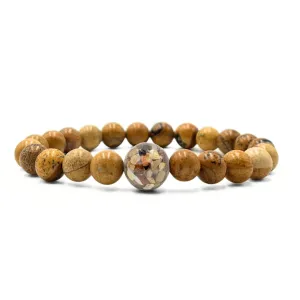 Lake Michigan Stones   Picture Jasper