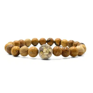 Maine Stones   Picture Jasper