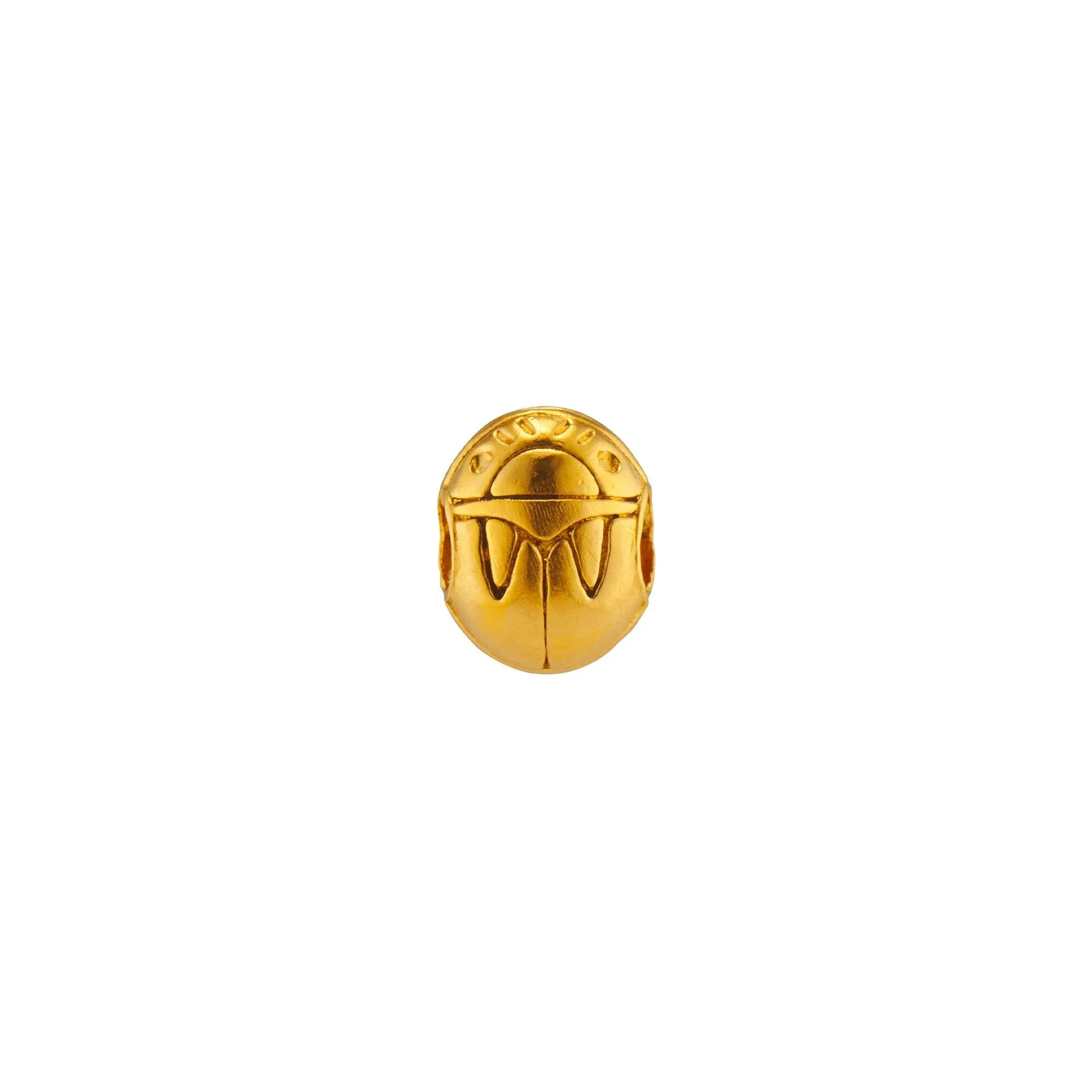 Scarab Charm