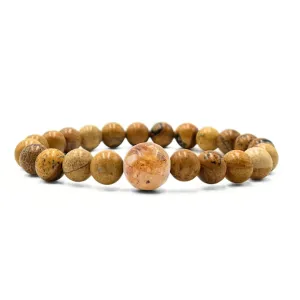 South Carolina Stones   Picture Jasper