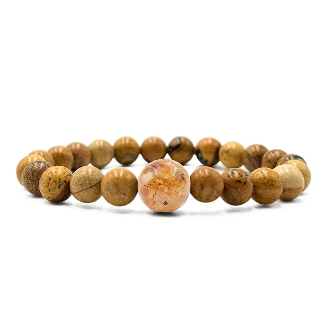 South Carolina Stones   Picture Jasper