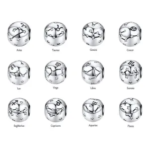 Zodiac Sign Charms