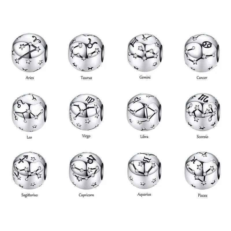 Zodiac Sign Charms