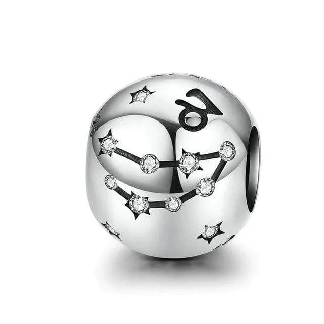Zodiac Sign Charms